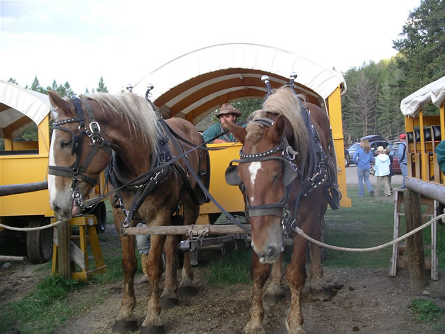 images/Cookout trip (40).jpg